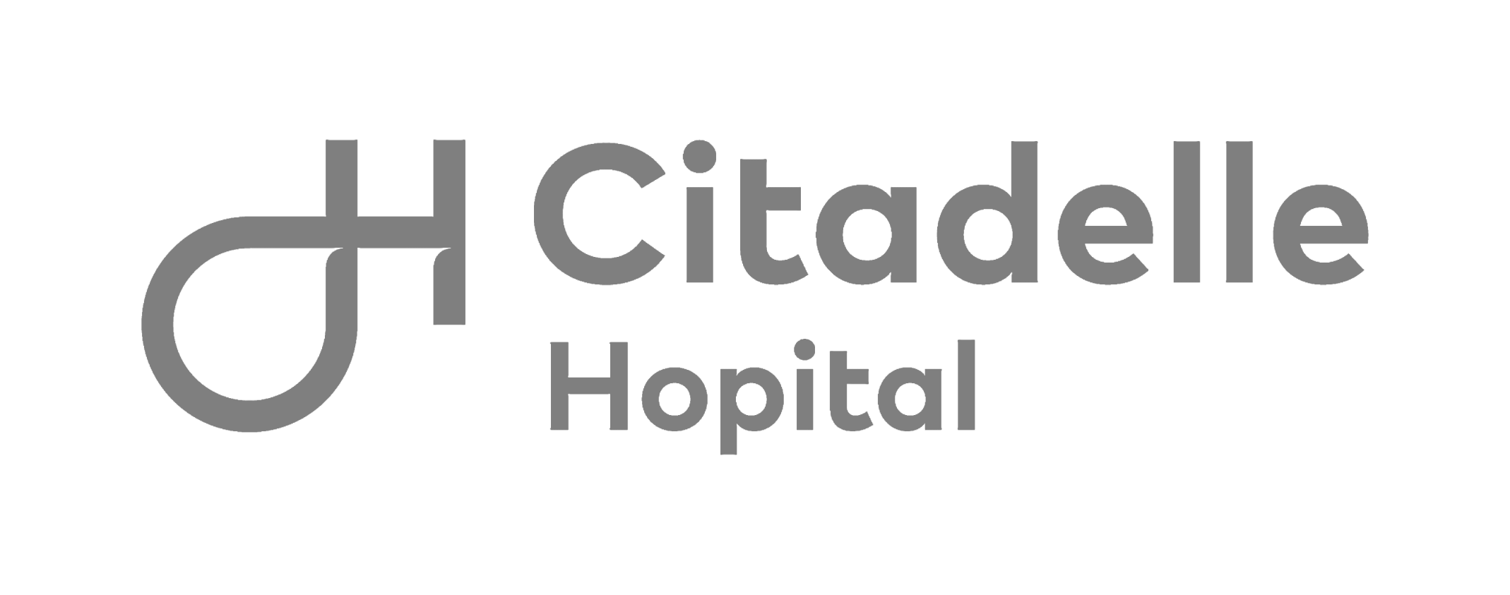 Citadelle Hopital Logo H RVB Synthese